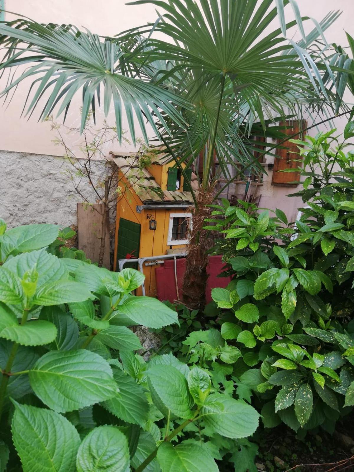 Guesthouse Kuca Na Sterne Lovran Buitenkant foto